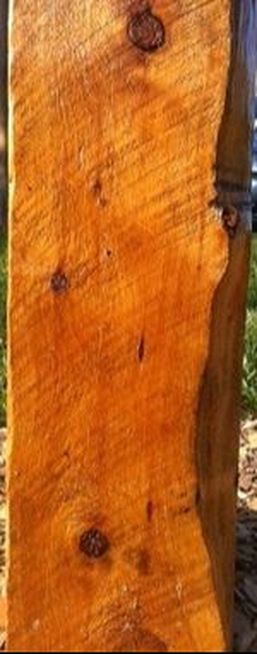 Picture - an Australian Cypress beam, rough sawn. ©